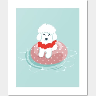 Summer pool pawty // aqua background poodle dog breed in vacation playing on swimming pool Posters and Art